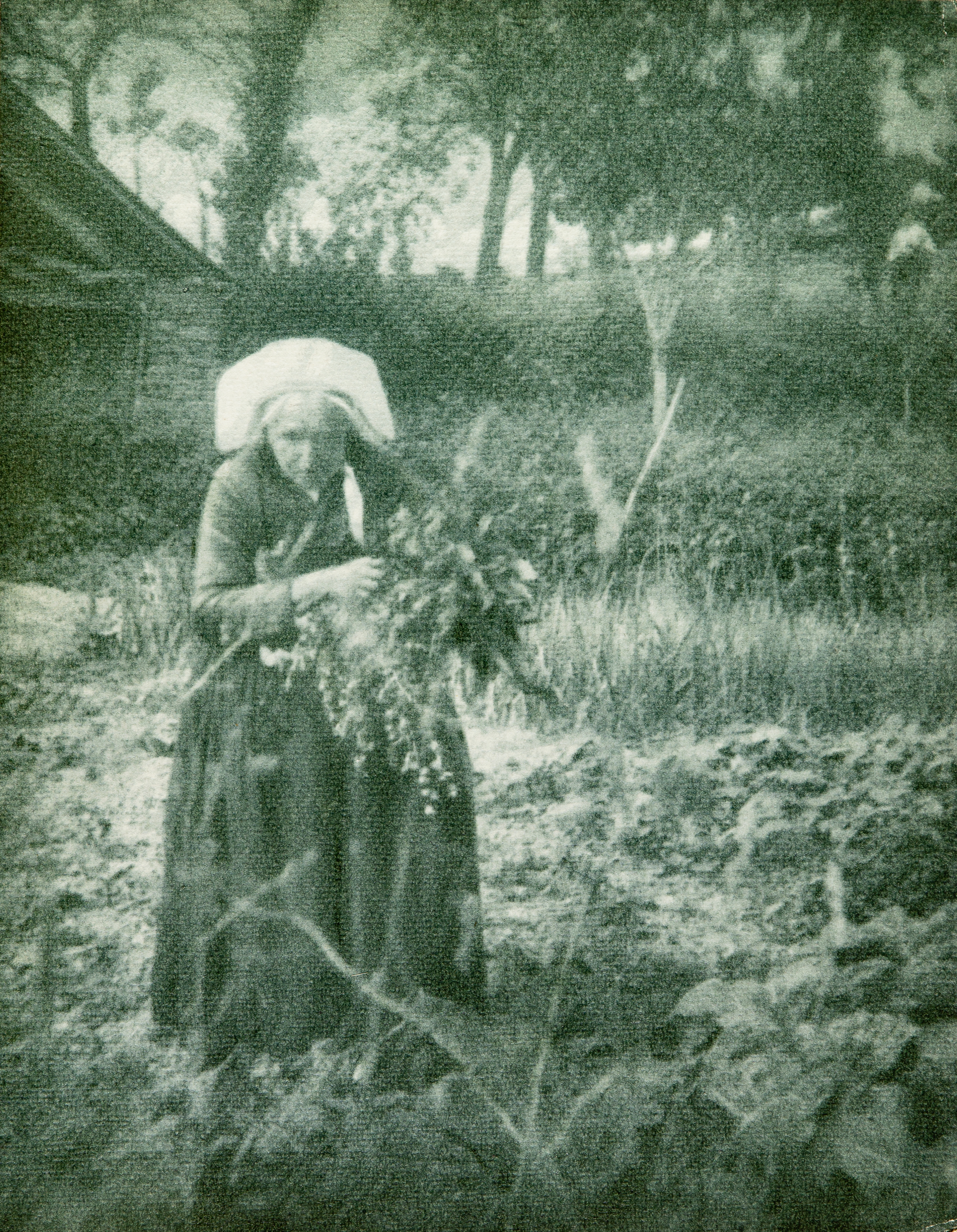 Tiled Image